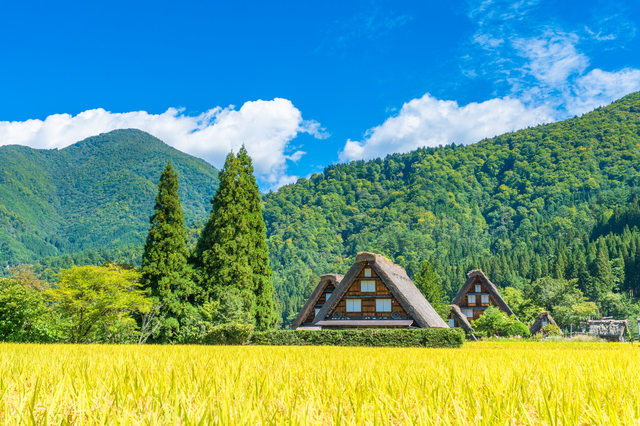 薬剤師が地方で働けば年収0万円アップ 高給の裏に隠された秘密